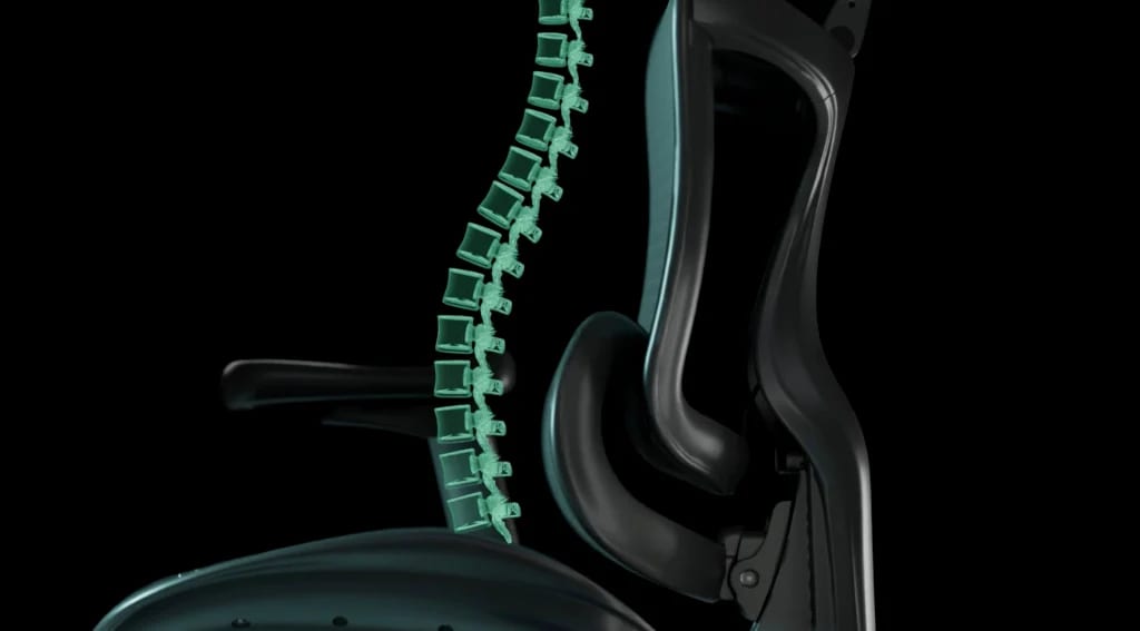 Illustration d’une chaise ergonomique soutenant la courbure naturelle de la colonne vertébrale, montrant comment le dossier suit les mouvements du dos pour favoriser une posture assise dynamique.